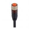 Kabel ovladače snímače, A: Vnitřní, A: M12, Rovný 12, 30V, IP67, IP65, řada: RKT Lumberg Automation 2 m
