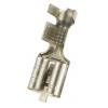 RS PRO Zásuvný konektor, řada: RS PRO Neizolované, 6.35 x 0.8 mm, Stříbrná Vnitřní, celková délka: 19.5mm, min. AWG: 12 RS PRO Zásuvný konektor, řada: RS PRO Neizolované, 6.35 x 0.8 mm, Stříbrná Vnitřní, celková délka: 19.5mm, min. AWG: 12