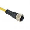 Kabel ovladače snímače, A: Vnitřní, A: M12 17, B: Bez koncovky, IP68, řada: M12A Amphenol Industrial 2 m Kabel ovladače snímače, A: Vnitřní, A: M12 17, B: Bez koncovky, IP68, řada: M12A Amphenol Industrial 2 m