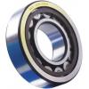 Válečkové ložisko NU 310 ECP SKF 50 mm (vnitřní prům.) 110 mm OD Válečkové ložisko NU 310 ECP SKF 50 mm (vnitřní prům.) 110 mm OD