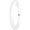 LEDVANCE LED trubice Energetická třída (EEK2021): E (A - G) G10q kulatý tvar 11 W neutrální bílá (Ø x d) 212.00 mm x 212.00 mm 1 ks LEDVANCE LED trubice Energetická třída (EEK2021): E (A - G) G10q kulatý tvar 11 W neutrální bílá (Ø x d) 212.00 mm x 212.00 mm 1 ks
