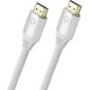 Renkforce optické vlákno / DisplayPort kabel Konektor DisplayPort, Kon...