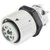 Wieland Electric RST16I3KSBS 15 30SW 46.432.3030.1 upravený kulatý fas...