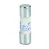 Kazetová pojistka 2A gPV 10 x 38 mm Weidmüller Keramika 1000V Kazetová pojistka 2A gPV 10 x 38 mm Weidmüller Keramika 1000V