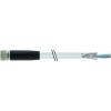 Murrelektronik 7000-08761-2410200 neupravený zástrčkový konektor pro senzory - aktory M8 x 1 zásuvka, rovná 2.00 m Počet pólů: 4 1 ks