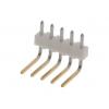 Molex pinová lišta (standardní) 5, rozteč 2.54 mm, 22122051, 1 ks Bulk Molex pinová lišta (standardní) 5, rozteč 2.54 mm, 22122051, 1 ks Bulk
