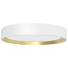 Philips 8720169301375 Hanno LED stropní svítidlo LED 24 W bílá, zlatá Philips 8720169301375 Hanno LED stropní svítidlo LED 24 W bílá, zlatá