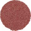 PFERD TOOLS CD 20 A 120 42750212 brusný list Zrnitost 120 (Ø) 20 mm 100 ks PFERD TOOLS CD 20 A 120 42750212 brusný list Zrnitost 120 (Ø) 20 mm 100 ks