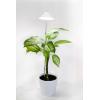 Venso LED lampa pro růst rostlin SUNLiTE XL 25 W Weiß 230 V pevně vestavěné LED 25 W neutrální bílá 1 ks Venso LED lampa pro růst rostlin SUNLiTE XL 25 W Weiß 230 V pevně vestavěné LED 25 W neutrální bílá 1 ks