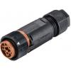 Wieland Electric RST16I3KSBS 15 30SW 46.432.3030.1 upravený kulatý fas...
