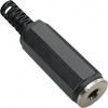 TRU COMPONENTS 1578817 jack konektor 3.5 mm zásuvka, rovná Pólů: 3 stereo černá 1 ks TRU COMPONENTS 1578817 jack konektor 3.5 mm zásuvka, rovná Pólů: 3 stereo černá 1 ks