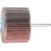 PFERD TOOLS 44508066 Vějířový brusný kotouč Průměr 60 mm 10 ks PFERD TOOLS 44508066 Vějířový brusný kotouč Průměr 60 mm 10 ks