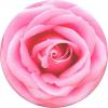POPSOCKETS Rose All Day stojan na mobilní telefon růžová
