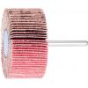 PFERD TOOLS 44409074 Vějířový brusný kotouč Průměr 30 mm 10 ks PFERD TOOLS 44409074 Vějířový brusný kotouč Průměr 30 mm 10 ks