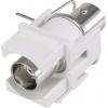 Renkforce RF-KS-BNC vestavný BNC modul Keystone 1 ks