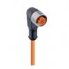 Kabel ovladače snímače, A: Vnitřní, A: Pravoúhlý 4, B: Volný konec, B: Neuzavřený, 30V, IP65, IP67, řada: RKWT/LED A Kabel ovladače snímače, A: Vnitřní, A: Pravoúhlý 4, B: Volný konec, B: Neuzavřený, 30V, IP65, IP67, řada: RKWT/LED A