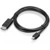 Lenovo 0B47091 Mini-DisplayPort / DisplayPort kabelový adaptér černá 1.20 m Lenovo 0B47091 Mini-DisplayPort / DisplayPort kabelový adaptér černá 1.20 m