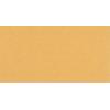 Bosch Accessories EXPERT C470 2608900875 brusný papír s otvory Zrnitost 100 (d x š) 230 mm x 115 mm 10 ks