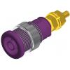 Hirschmann Test & Measurement SEB 2600 G M4 bezpečnostní laboratorní zásuvka zásuvka, vestavná vertikální Ø pin: 4 mm fialová 1 ks