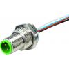 Murrelektronik 7000-13525-9720020 neupravený zástrčkový konektor pro senzory - aktory M12 x 1 zástrčka, vestavná 0.20 m Počet pólů: 5 1 ks