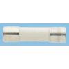 Kazetová pojistka 5A T 5 x 20 mm RS PRO Keramika 250V ac