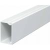 OBO Bettermann 6191061 kabelová lišta (d x š x v) 2000 x 40 x 25 mm 1 ks čistě bílá