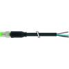 Murrelektronik 7000-08001-6100500 neupravený zástrčkový konektor pro senzory - aktory M8 x 1 zástrčka, rovná 5.00 m Počet pólů: 3 1 ks