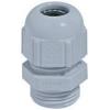 LAPP 52006103 SKINDICHT® BLK-GL-M12 M12 M12 polyamid černá (RAL 9005) ... LAPP 52006103 SKINDICHT® BLK-GL-M12 M12 M12 polyamid černá (RAL 9005) ...