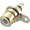 TRU COMPONENTS 719258 cinch konektor zásuvka, vestavná vertikální Pólů: 2 bílá 1 ks TRU COMPONENTS 719258 cinch konektor zásuvka, vestavná vertikální Pólů: 2 bílá 1 ks