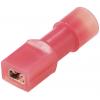 TRU COMPONENTS TC-11599304 faston zásuvka Šířka zástrčky: 2.8 mm Tloušťka konektoru: 0.5 mm 180 ° plná izolace červená 1 ks TRU COMPONENTS TC-11599304 faston zásuvka Šířka zástrčky: 2.8 mm Tloušťka konektoru: 0.5 mm 180 ° plná izolace červená 1 ks