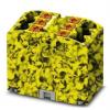 Phoenix Contact Distribuční blok, počet cest: 6, 450V 32A Žlutá Phoenix Contact Distribuční blok, počet cest: 6, 450V 32A Žlutá