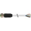 Kabel ovladače snímače, A: Vnitřní, A: M12 8, B: Volný konec, B: Neuzavřený, 300V, IP65, IP66K, IP67, řada: 7000