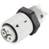 Telegärtner 100007381, RJ45 konektor, příruba RJ45, kov, 1 ks Telegärtner 100007381, RJ45 konektor, příruba RJ45, kov, 1 ks