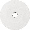 PFERD TOOLS 39009729 Brusný kotouč do stojanové brusky Průměr 250 mm 8...