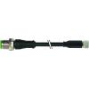 Murrelektronik 7000-40561-6300030 upravený zástrčkový konektor pro senzory - aktory M12 x 1 zástrčka, rovná, zásuvka, rovná 0.30 m Počet pólů: 3 1 ks