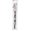 Bosch Accessories 2608596313 spirálový vrták do dřeva 16 mm Celková délka 160 mm 1/4 (6,3 mm) 1 ks
